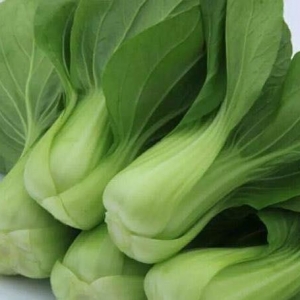 吃小油菜有哪些好處 哪些人不適合吃油菜