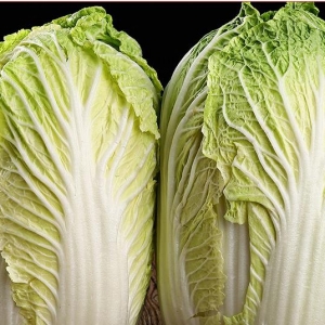 吃大白菜有什么好處 哪類人不適合吃大白菜