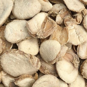 中藥浙貝母清熱化痰鎮(zhèn)咳之功效