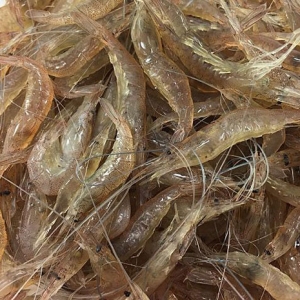 吃河蝦有哪些好處 河蝦的禁忌人群