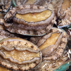吃鮑魚有哪些好處 吃鮑魚禁忌有哪些