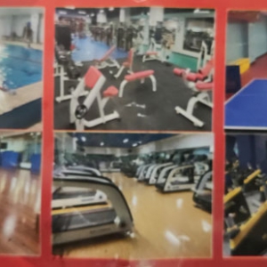 邯鄲市哪個游泳館六月份有活動價格便宜