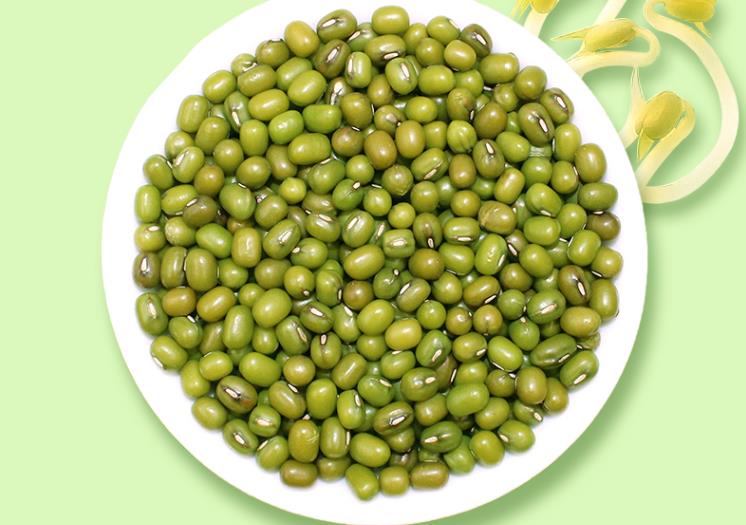 吃綠豆有哪些功效 綠豆怎么吃