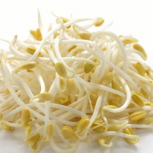 吃黃豆芽能減肥嗎 吃黃豆芽有哪些好處