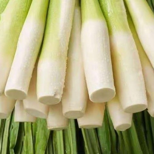 吃茭白有美白作用嗎 茭白有美容護膚作用嗎
