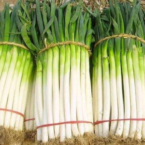大蔥能夠健脾開胃增進食欲 吃大蔥好處一覽