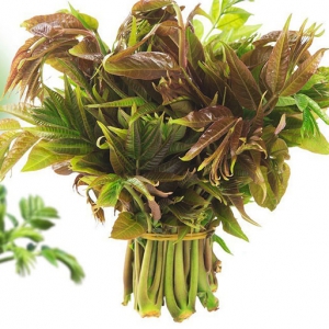 吃香椿有補(bǔ)虛壯陽(yáng)固精、補(bǔ)腎 吃香椿好處一覽