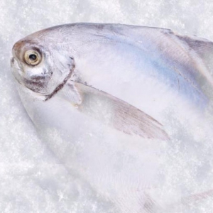 吃平魚能預防心梗 吃平魚好處一覽