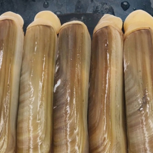 吃蟶子有補腦健腦作用 吃蟶子好處一覽