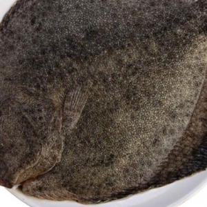 吃多寶魚(yú)能夠補(bǔ)腎健腦 吃多寶魚(yú)好處一覽