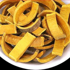 關(guān)黃柏補(bǔ)腎壯陽(yáng)的功效 關(guān)黃柏功效作用一覽
