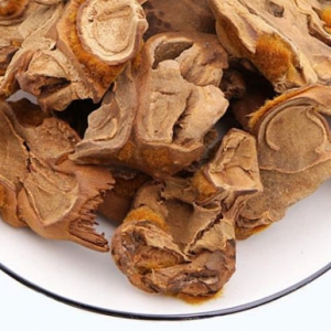 中藥狗脊祛風濕補肝腎強腰膝的功效