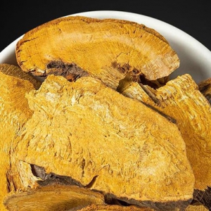 中藥虎杖有利濕退黃化痰止咳的功效