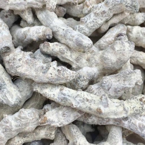 僵蠶化痰散結清熱解毒功效 僵蠶功效作用一覽