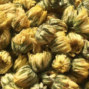 中藥菊花清肝明目清熱解毒 菊花功效作用一覽