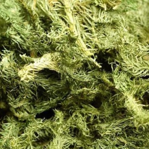 伸筋草用于關(guān)節(jié)酸痛屈伸不利 伸筋草價(jià)格一覽