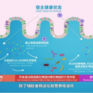 APOL2與特定細(xì)菌建立精細(xì)化合作助力維持腸道免疫穩(wěn)定狀態(tài)
